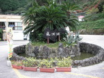 191029a.jpg